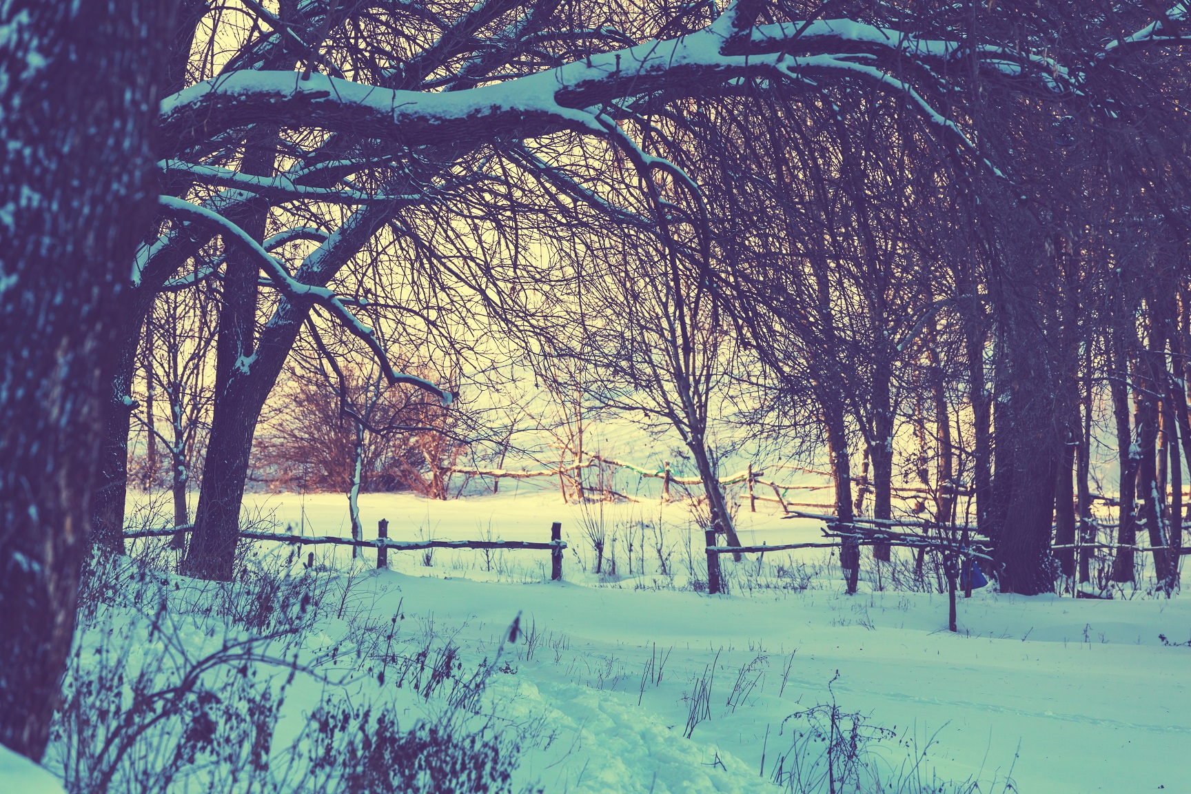 zima, droga, krajobraz, snieg